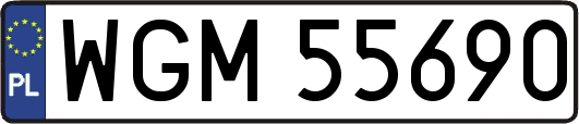 WGM55690