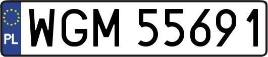WGM55691