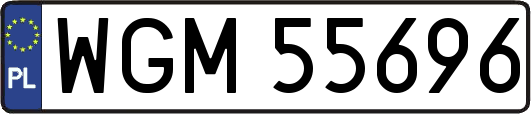 WGM55696