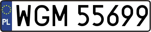 WGM55699
