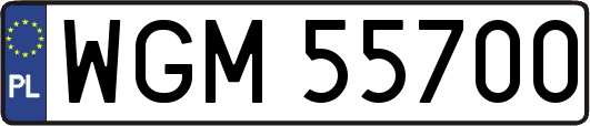 WGM55700