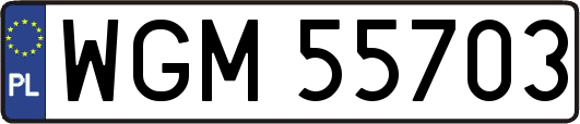 WGM55703