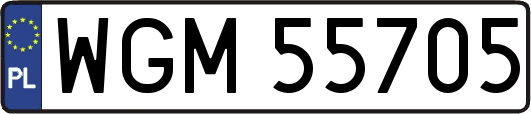 WGM55705