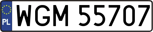 WGM55707