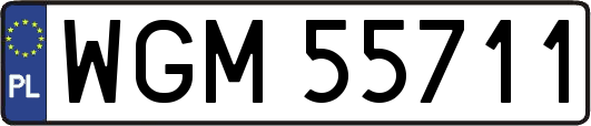 WGM55711