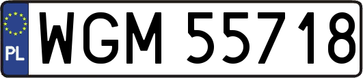 WGM55718