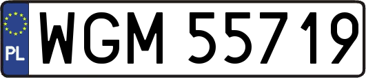 WGM55719