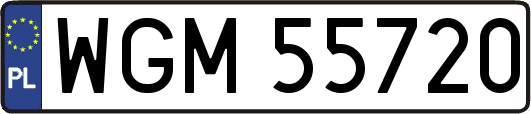 WGM55720