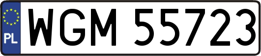 WGM55723