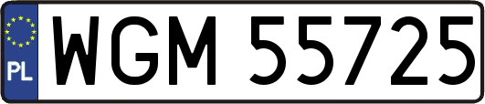 WGM55725
