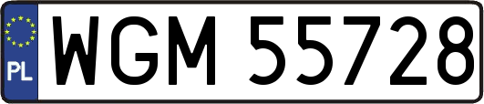 WGM55728