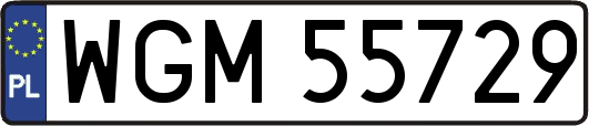 WGM55729