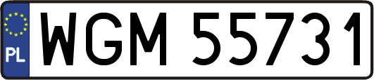 WGM55731