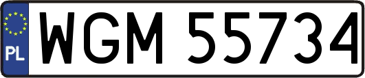 WGM55734