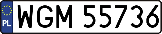 WGM55736