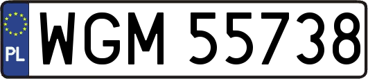 WGM55738