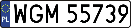WGM55739