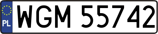 WGM55742