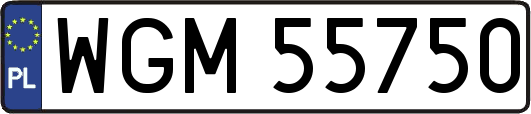 WGM55750