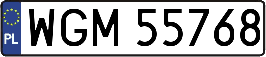WGM55768