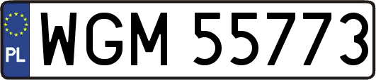 WGM55773