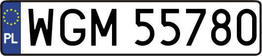 WGM55780