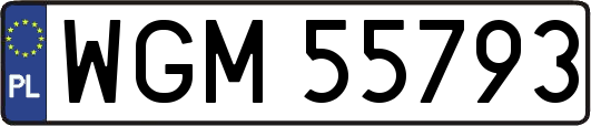 WGM55793