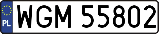 WGM55802