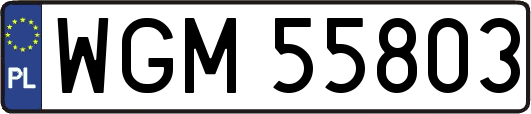 WGM55803