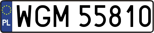 WGM55810