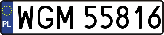 WGM55816