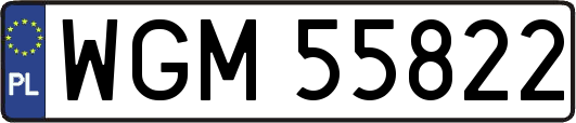 WGM55822