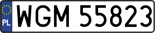 WGM55823