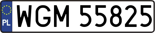 WGM55825