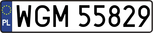 WGM55829