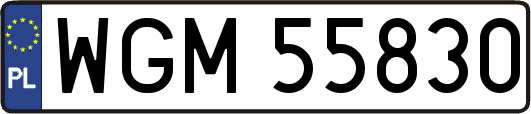 WGM55830