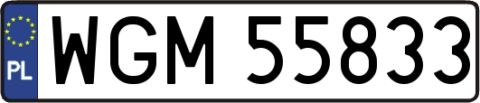 WGM55833