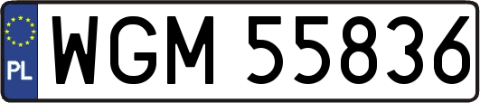 WGM55836
