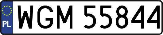 WGM55844