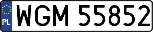 WGM55852