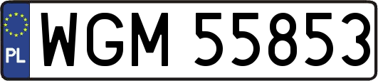 WGM55853