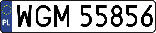 WGM55856