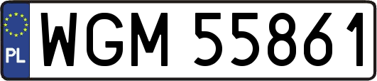 WGM55861