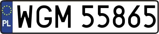 WGM55865