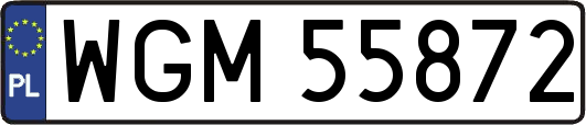 WGM55872