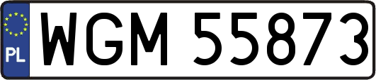 WGM55873