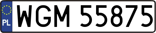 WGM55875