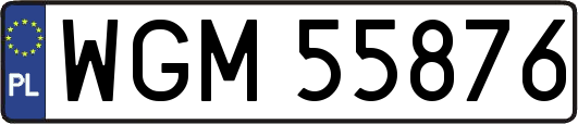 WGM55876