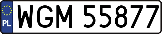 WGM55877