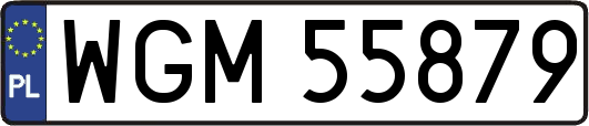 WGM55879